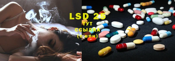 PSILOCYBIN Алексин
