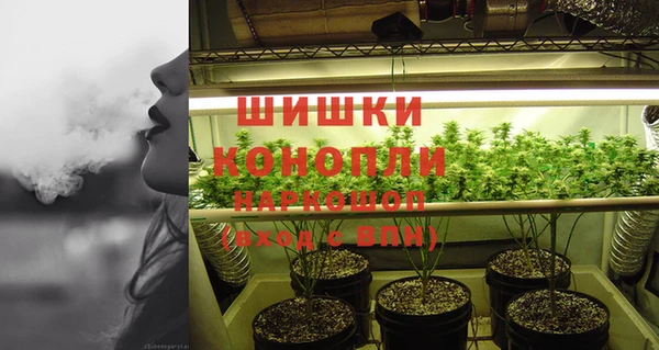 PSILOCYBIN Алексин