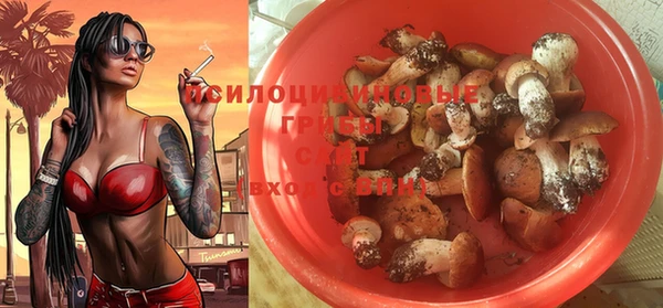 PSILOCYBIN Алексин