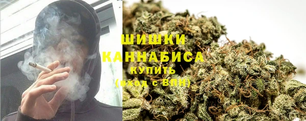 PSILOCYBIN Алексин