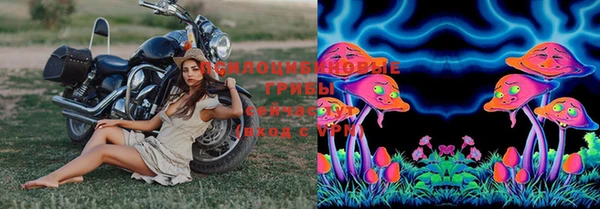 PSILOCYBIN Алексин