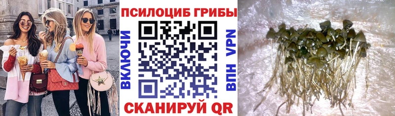 Галлюциногенные грибы мицелий Бежецк